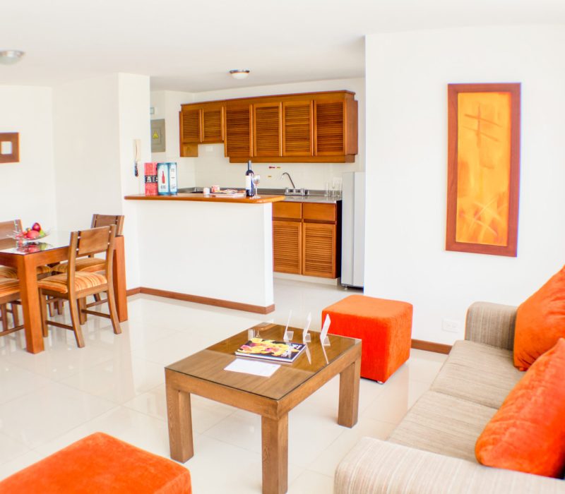 rodeo apto sala comedor y cocina